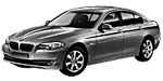 BMW F10 P1E6E Fault Code